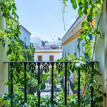 Novalia 14 Apartment